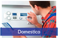 domestico